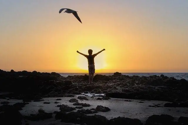 1 Corinthian 7:29-31