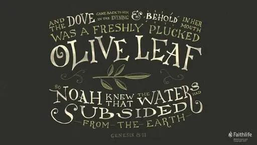 Genesis 7:1-5, 11-18;8:6-18, 9:8-13 and Psalm 46