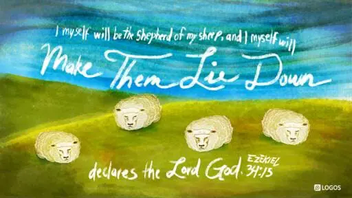 Ezekiel 34:11-16, 20-24