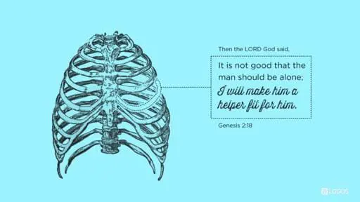 Genesis 2:18-24