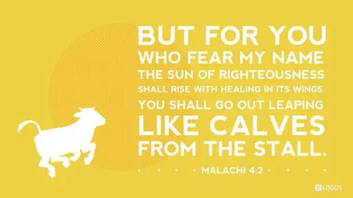 Malachi 4:1-2a