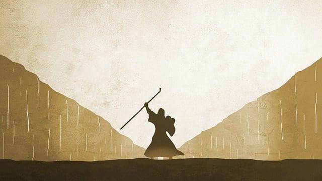 Exodus 12:1-4, (5-10), 11-14