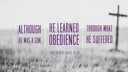 Hebrews 5:1-10