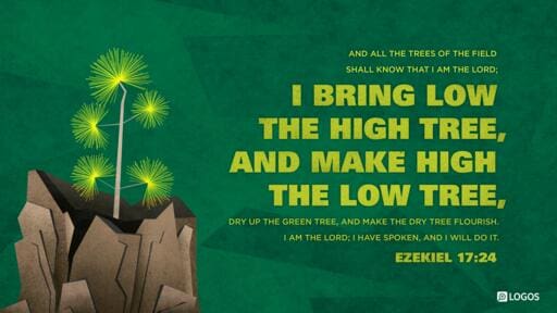 Ezekiel 17:22-24