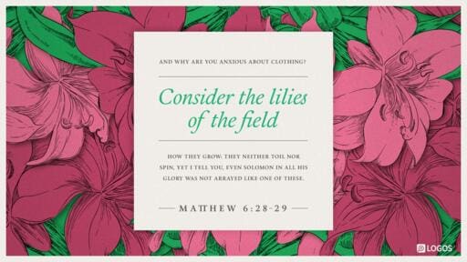 Matthew 6:25-33