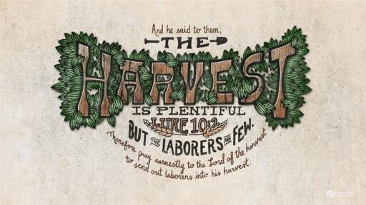Luke 10:1-11, 16-20