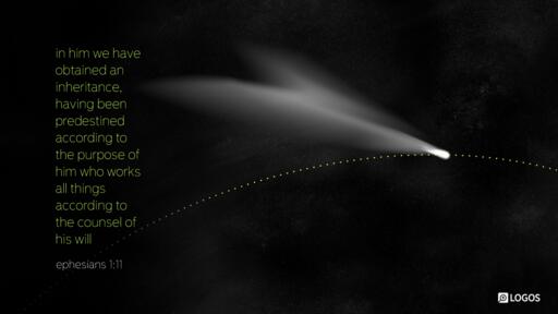 Ephesians 1:11-23